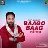 About Baago Baag Song