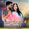 About Janu Jawani Me Dhoko Degi Re Song