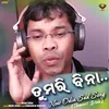 About Tumari Bina Song