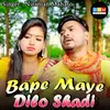 About Bape Maye Dilo Shadi Song
