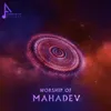 About Worship of Mahadev Song