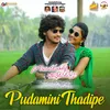 Pudamini Thadipe