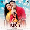 Tere Bina Dil Mera