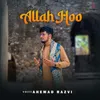 About Allah Hoo Song