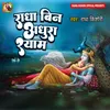 About Radha Bin Adhura Shyam Song