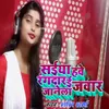 About Saiya Hawe Rangdaar E Jawar Janela Song