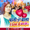 About Pani Puri Wala I love You Bol Dele Ba Song