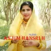 About Anjum Hansri H Song