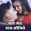 Pyar Mera Pass Kigiye