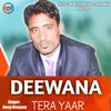 About Deewana Tera Yaar Song