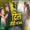 About Dil Todi Gayi Mana (feat. Riya Chitte) Song