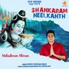 Mahadevam Shivam