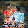 About Pale Gate Amge Menam Jiwi Re Song