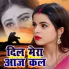 About Dil Mera Aaj Kal Song