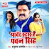 About Power Star Hai Pawan Singh Song