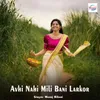 About Avhi Nahi Mili Bani Larkor Song