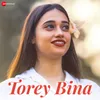 Torey Bina