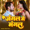 About Jangal Me Mangal Song