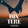 Bin Tere