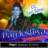 About Pardeshiya Song