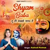 About Shyam Baba Tuhi Sabke Sath Hai Song