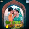 About Dil Majak Mat Samjho Song