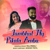 About Jambhul Ny Pikala Amba Song