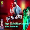 About Sukh Dukh Ra Maina Song