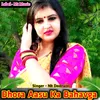 About Dhora Aasu Ka Bahavga Song