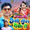 About Jawani Abhi Sil Pack Chhai Song