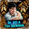 About Dil Hela Toh Deewana Song