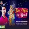 About Tere Milne Ke Baad Song