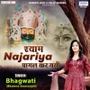 About Shyam Najariya Pagal Kar Gayi Song