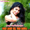 About Mat Jaav Dil Tod Bavli Song