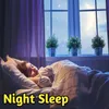 Night Sleep Track 1