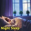 Night Sleep Track 7