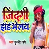 About Jindgi Jhand Bhelay Song