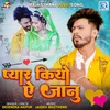 About Pyar Kiyo Ae Janu Song