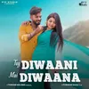 About Tay Diwaani May Diwaana Song