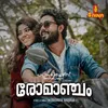 About Thannaane - Romanjam Song