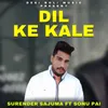 About Dil Ke Kale Remix Song