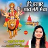 Tere Darbar Aaye Meri Maiya