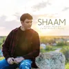 About Shaam Song