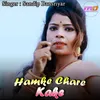 About Hamke Chare Kake Song