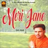 About Meri Jane Song