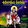 About Sri Shaila Vasa Devuda Sivayya Song