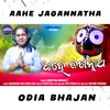 About Aahe Jagannatha Song