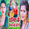 About Daliye Ke Hila wai Cho Ge Song