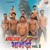 About Desi Bhangdi 2 Song