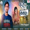 About Tari Jode Karva Chhe Vivah Song